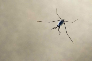 Mjere od morske vode - cijeli život na valovima Mjere od morske vode - cijeli život na valovima